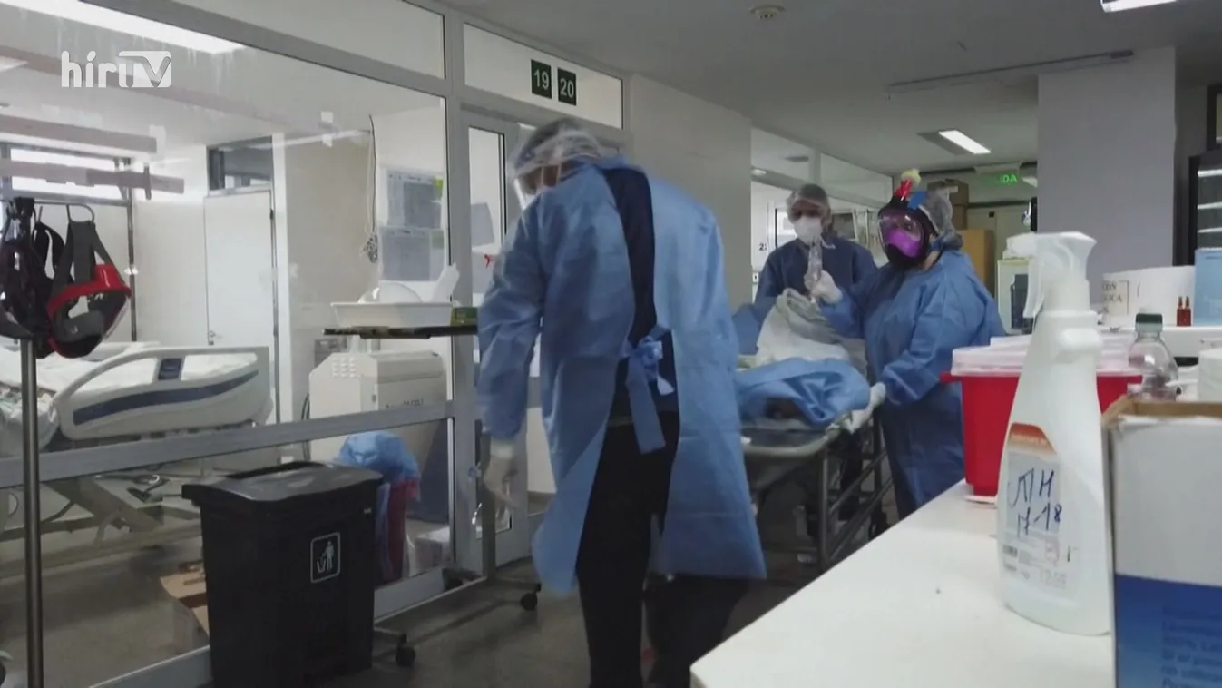 Több országban vakcinahiány van, Chilében kutyáknak fejlesztett oltóanyaggal is oltanak