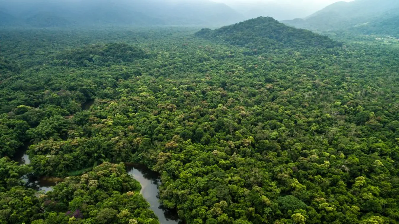 Aggasztó hírek érkeztek Amazóniáról