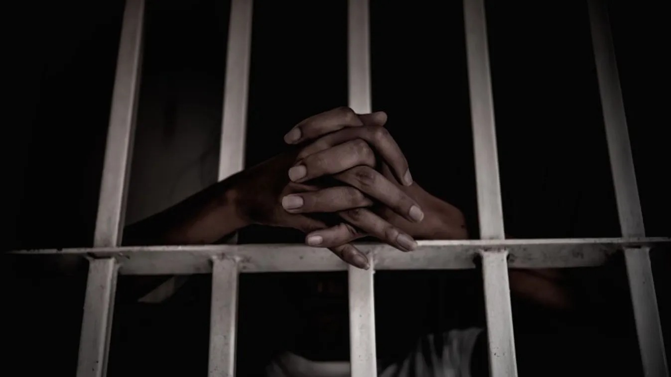 Valódi horrortörténet