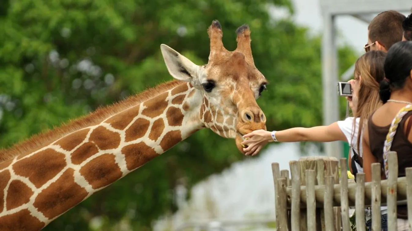 Íme, az újraindítás lépései 4 millió beoltottnál – megjelentek a szabályok