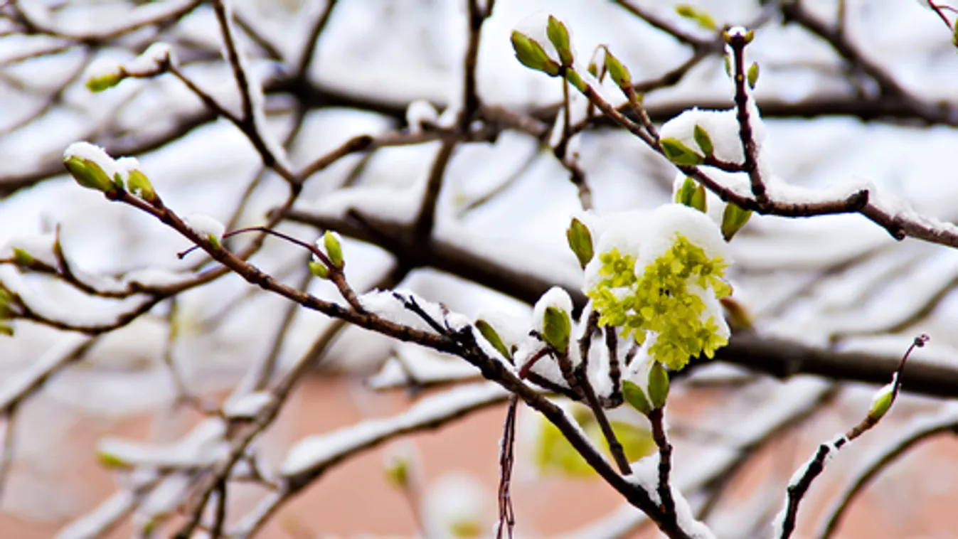 Hidegfront érkezik a jövő héten