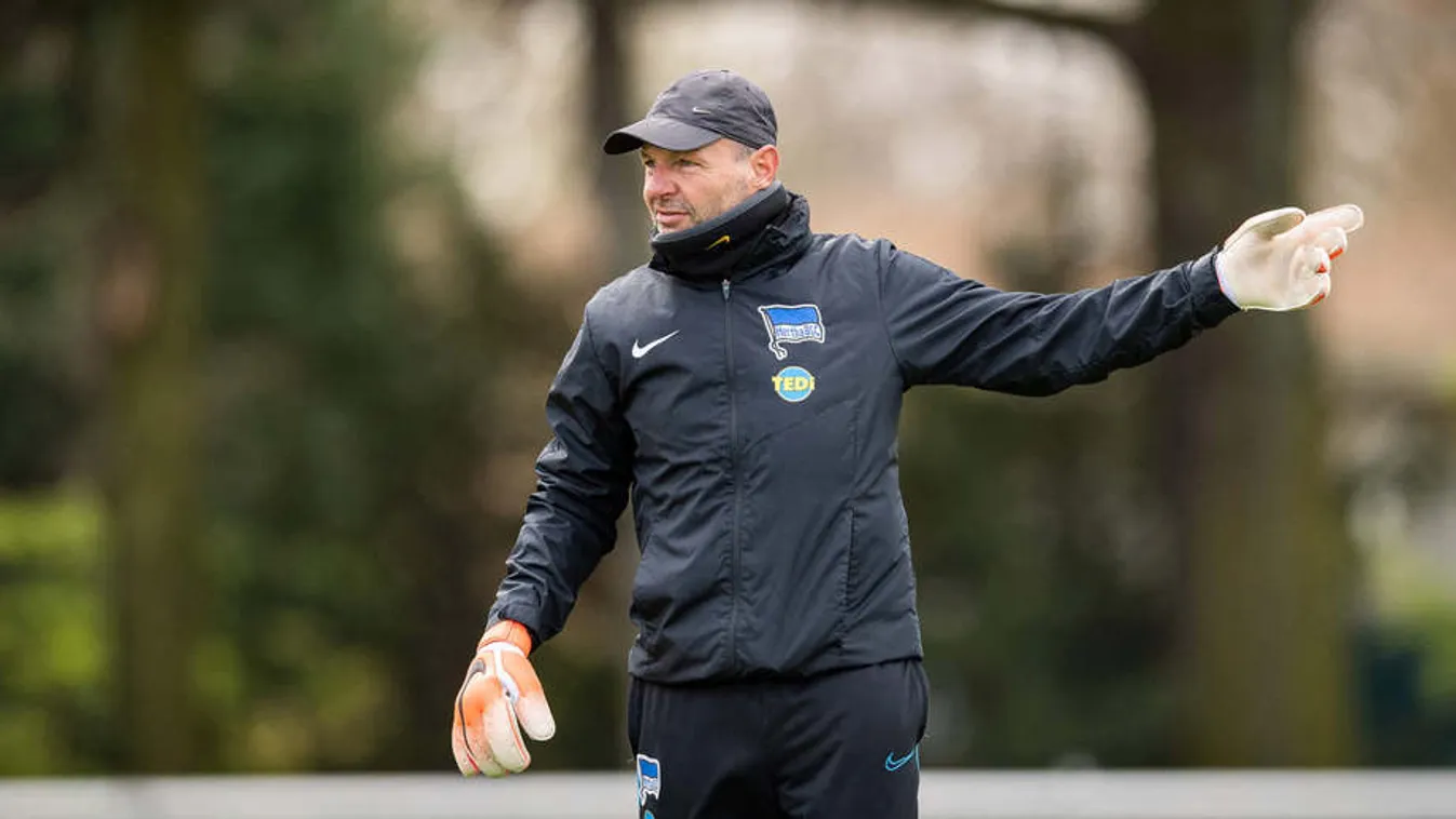 Döbbenetes: Petry Zsoltot politikai véleménye miatt kirúgta a Hertha