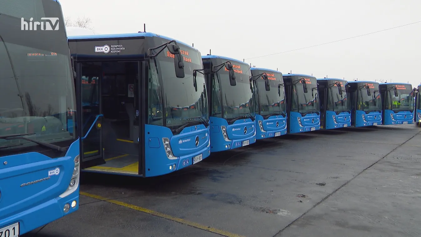 Lemondásra szólították fel V. Naszályi Márta polgármestert