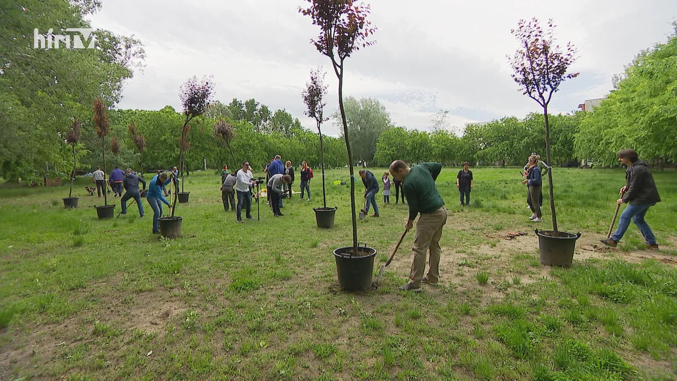 Zöld területet építtetne be Óbuda DK-s polgármestere