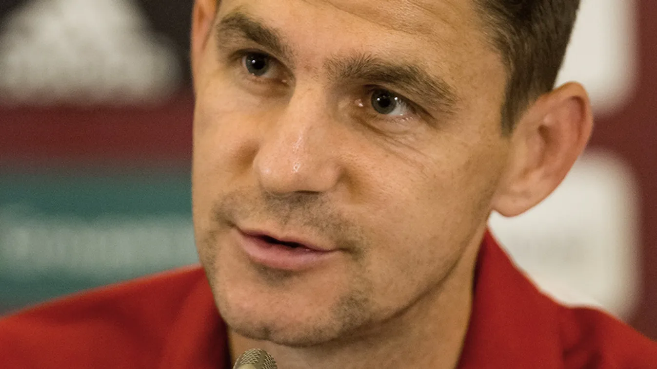 Gera Zoltán ott lesz az Európa-bajnokságon