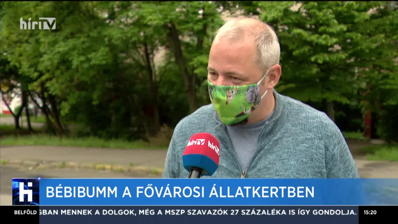 Bébibumm a Fővárosi Állatkertben