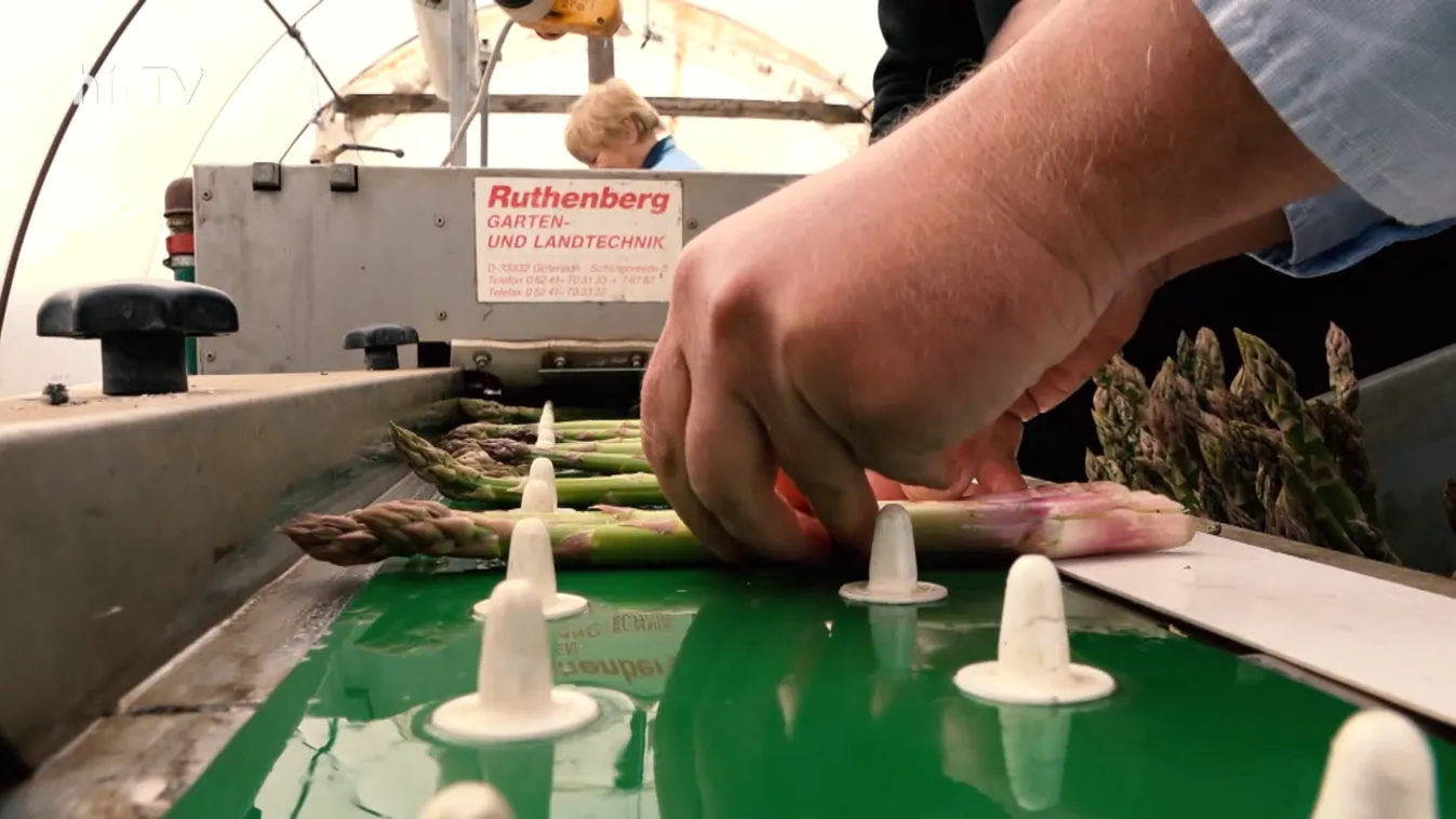 Soroló: Nagy gond EU-szerte a kiöregedő gazdatársadalom