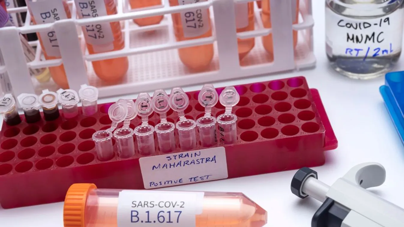 Az oltások védenek az indiai variáns ellen is