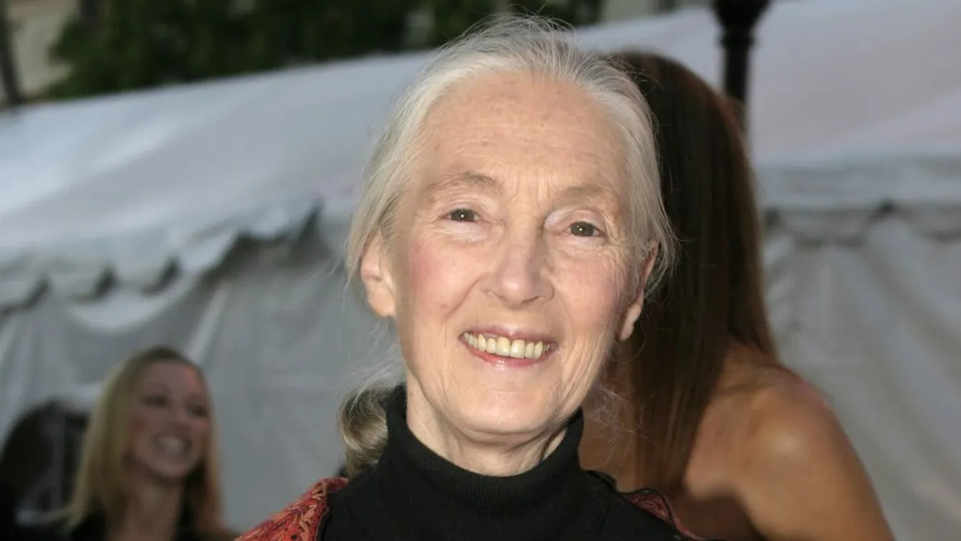 A világ egyik legnagyobb összegű díját kapja Jane Goodall