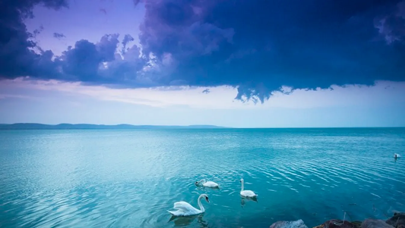 Nem megfelelő a Balaton vize a halállomány számára: több faj is veszélybe kerülhet