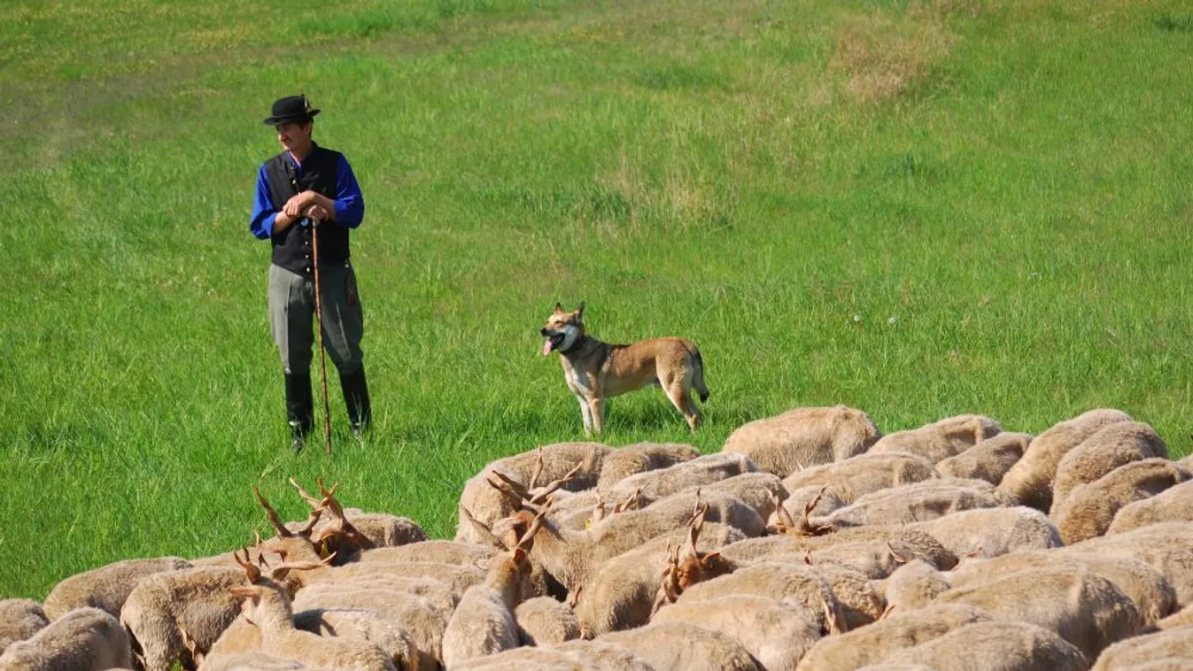 A pásztorok életéről és kapcsolatairól nyílik fotókiállítás