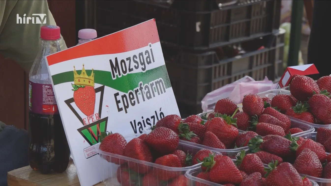 Eperfesztivál Vajszlón