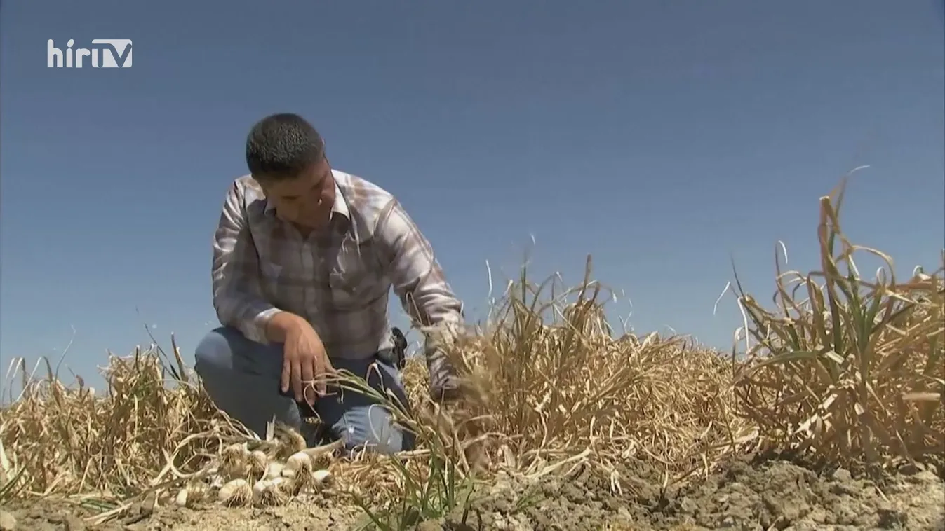 40 Celsius fok feletti hőség lehet Kalifornia és Arizona egyes területein