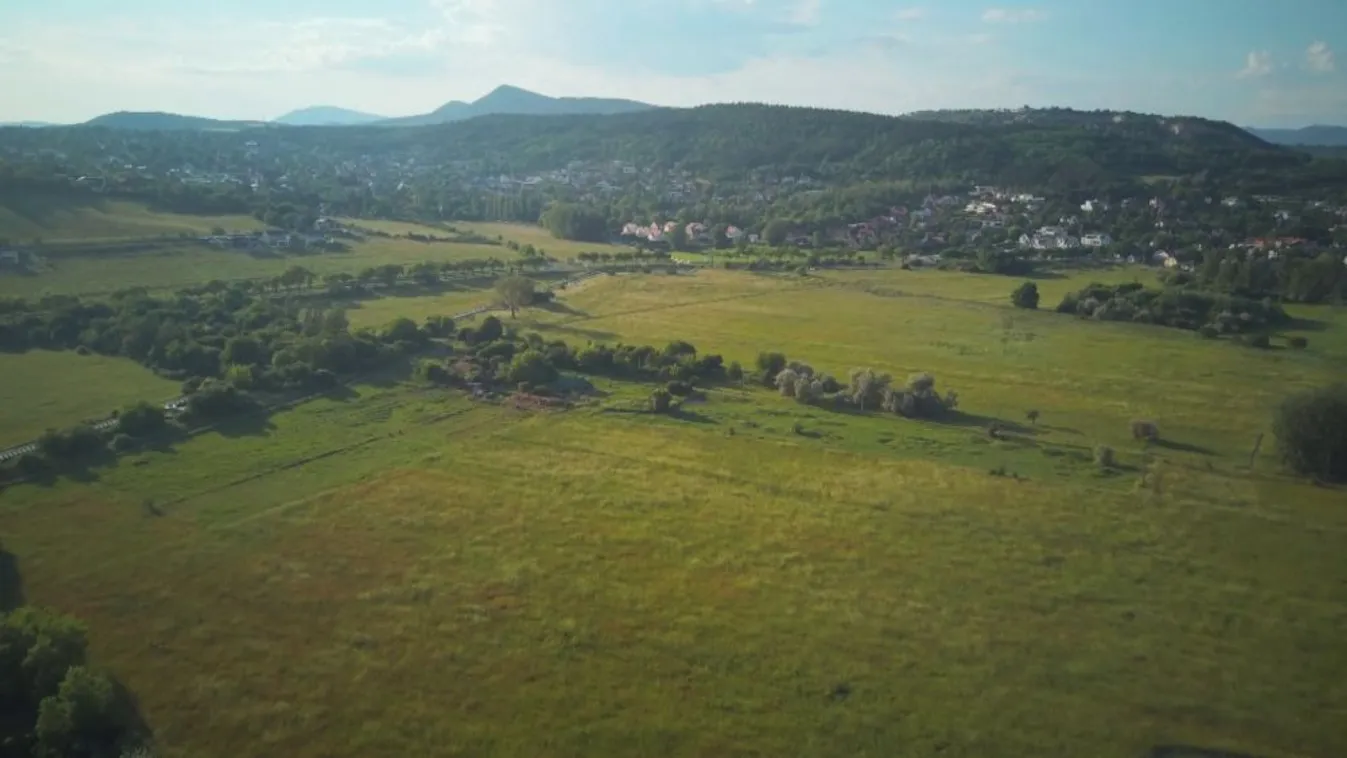 Budapesti srácok: Valódi méhlegelő helyett lakópark a zöld politika jegyében