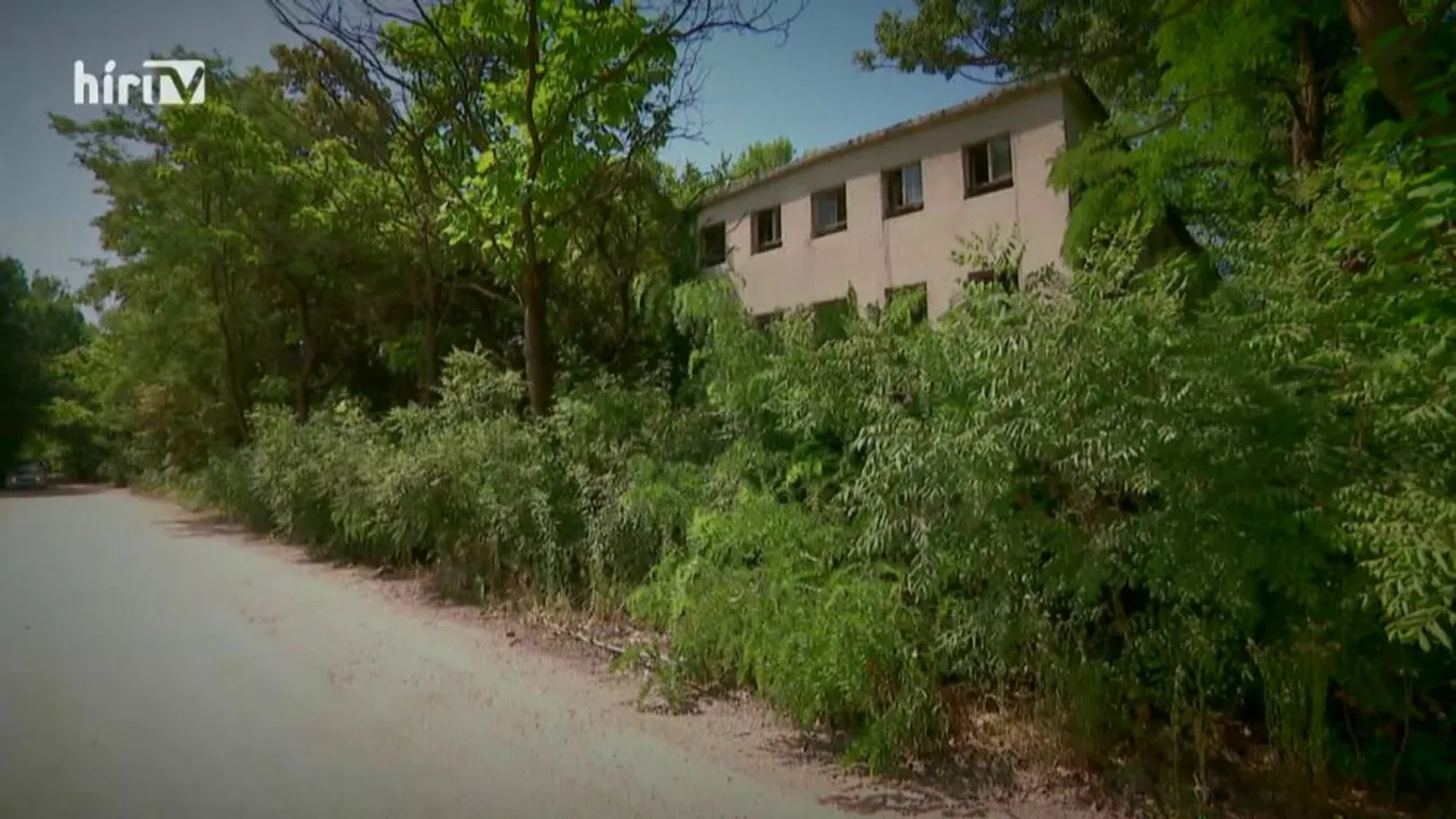 Budapesti srácok: Hazugságkampány után hazugságpolitika Újpesten