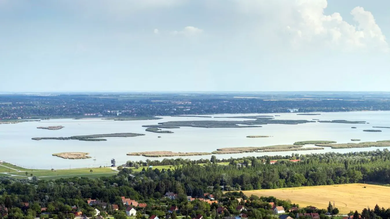 Halpusztulásból politikai támadás