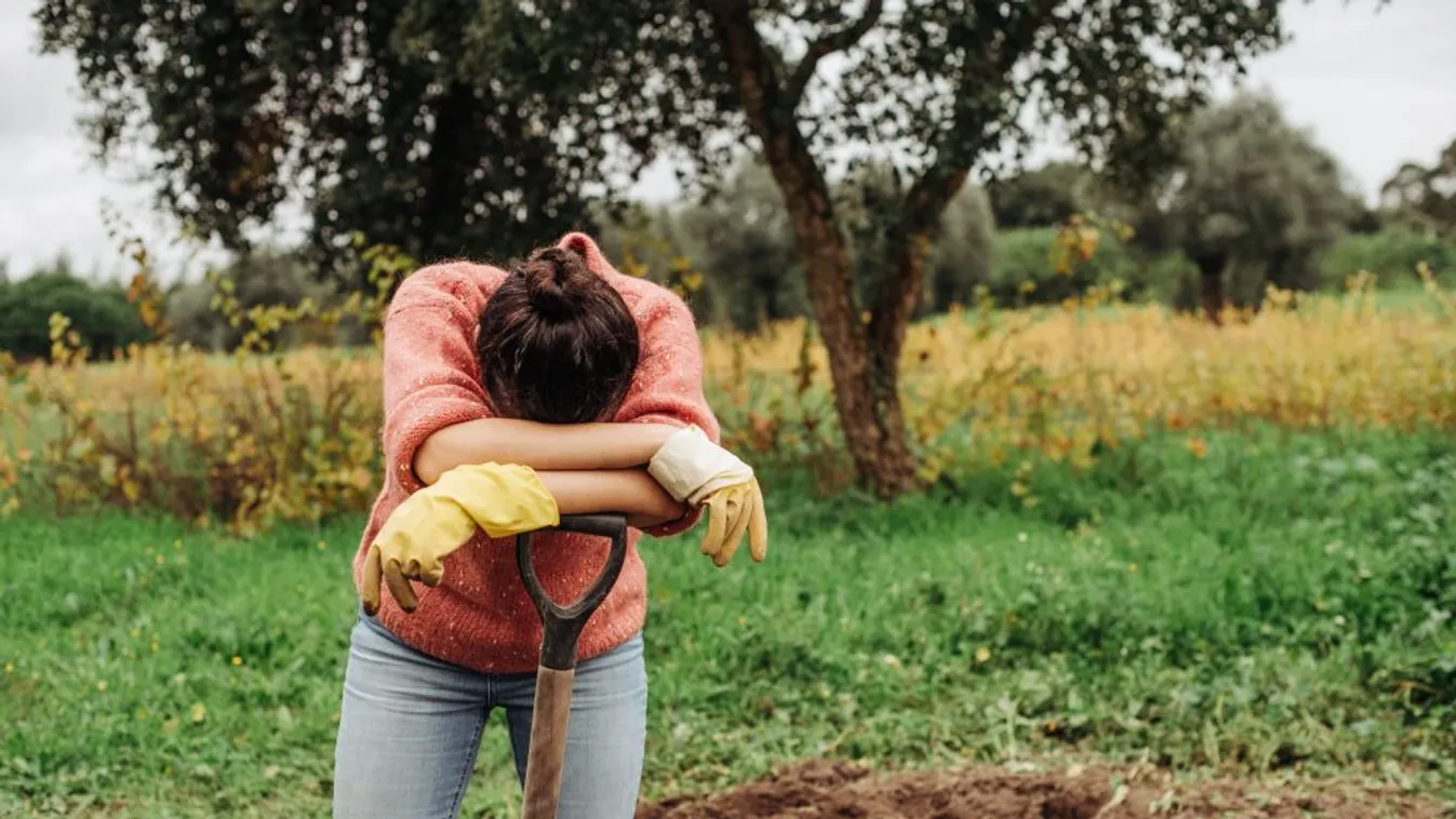 Embertelen körülmények között dolgoztattak vendégmunkásokat