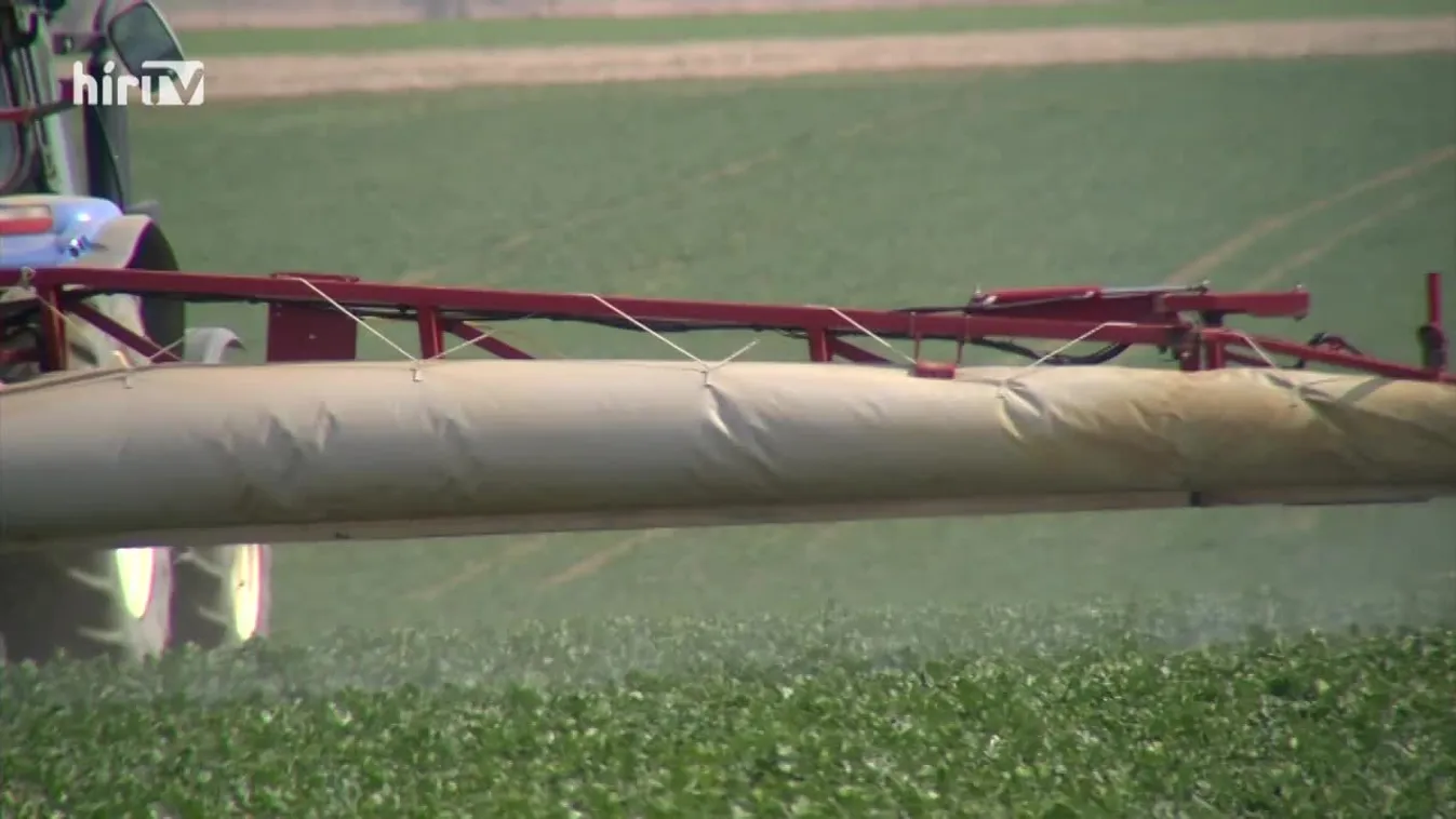 Soroló (2021-06-26)