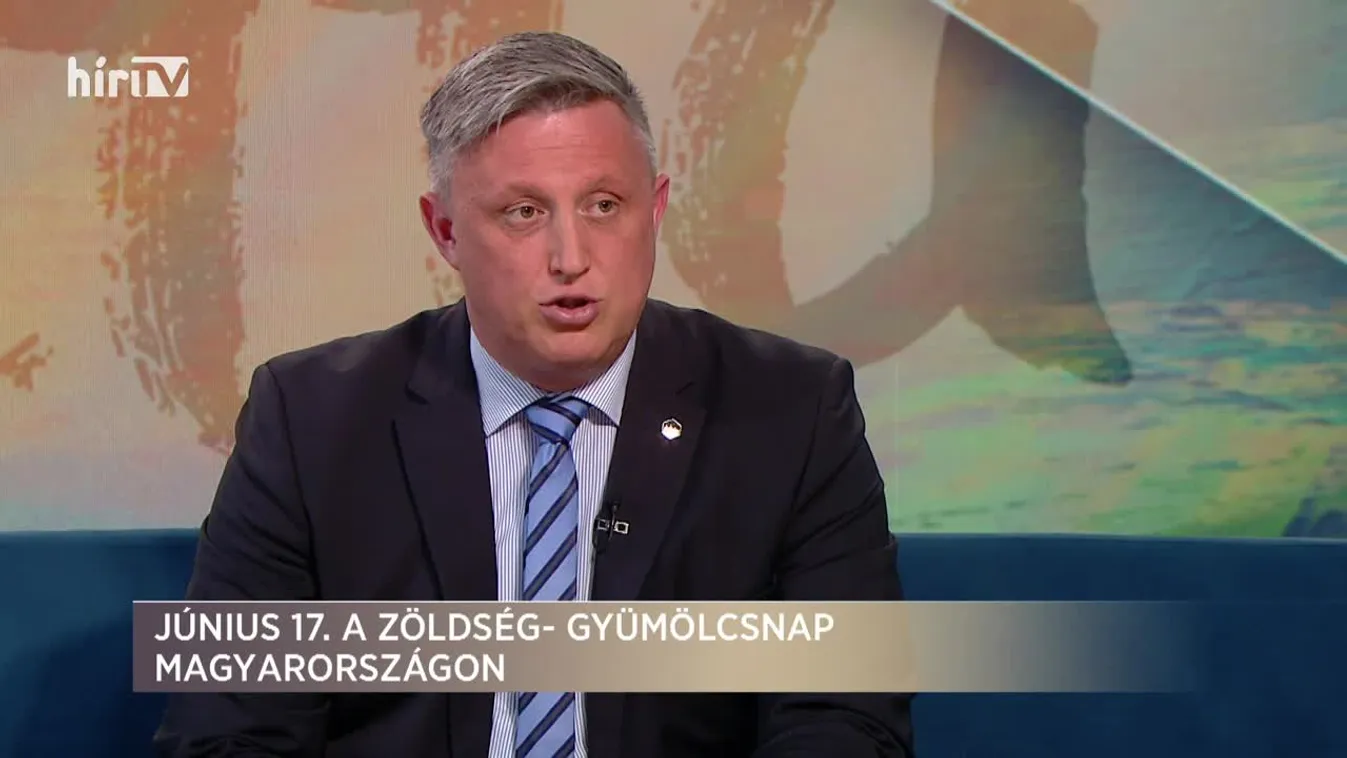 Paletta (2021-06-17)