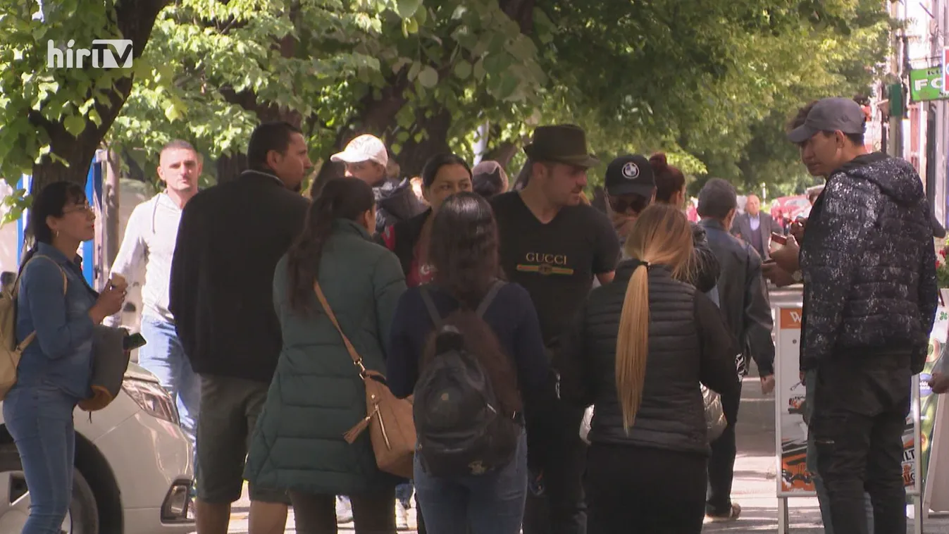 Nagy az érdeklődés a védettségi igazolványok iránt