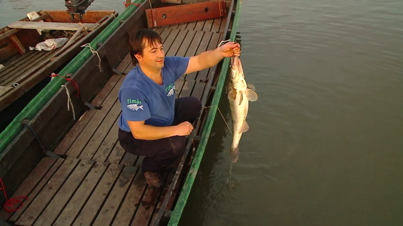 Halbőség a Tisza-tóban