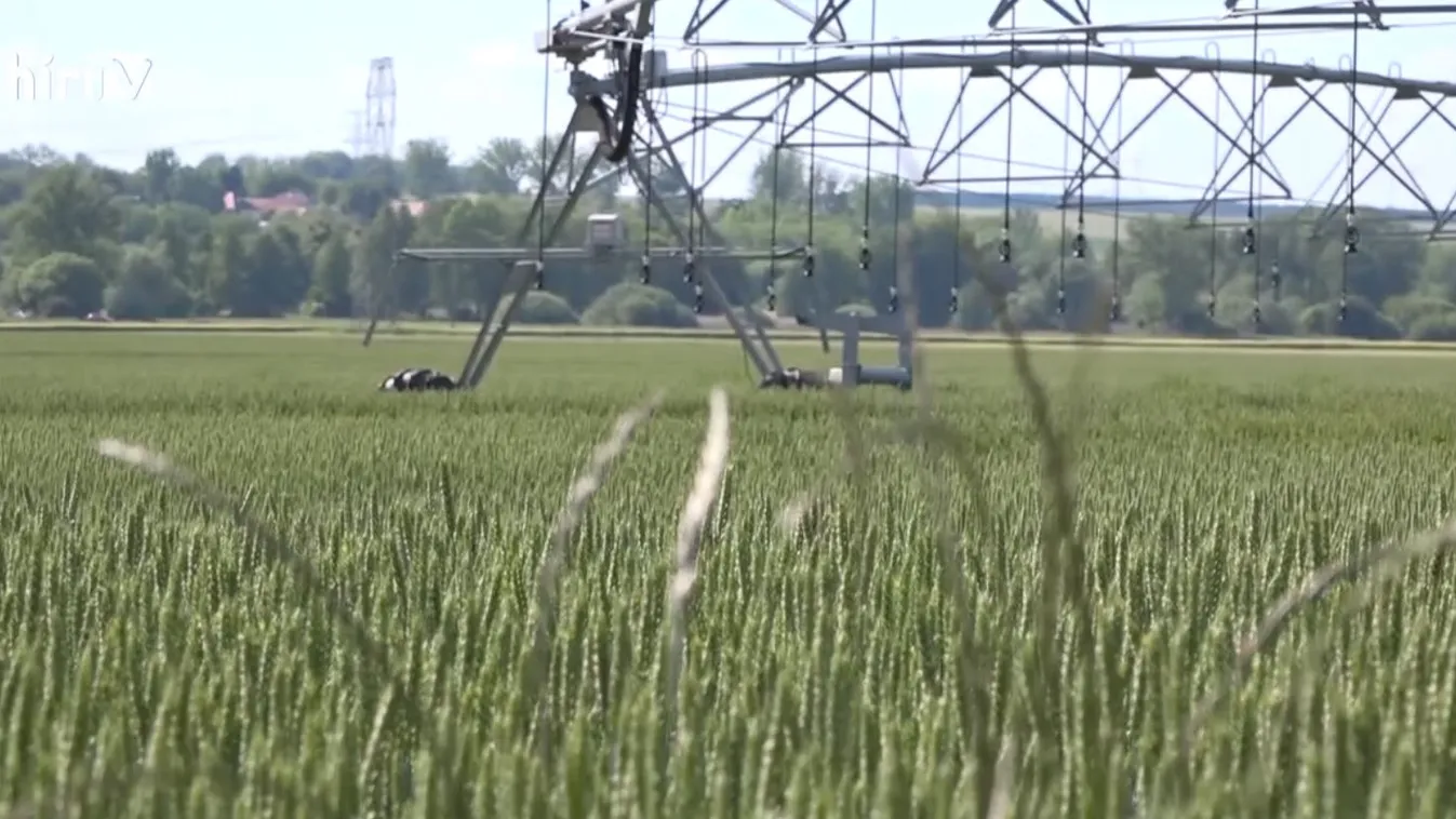 Soroló: Kemény évkezdet