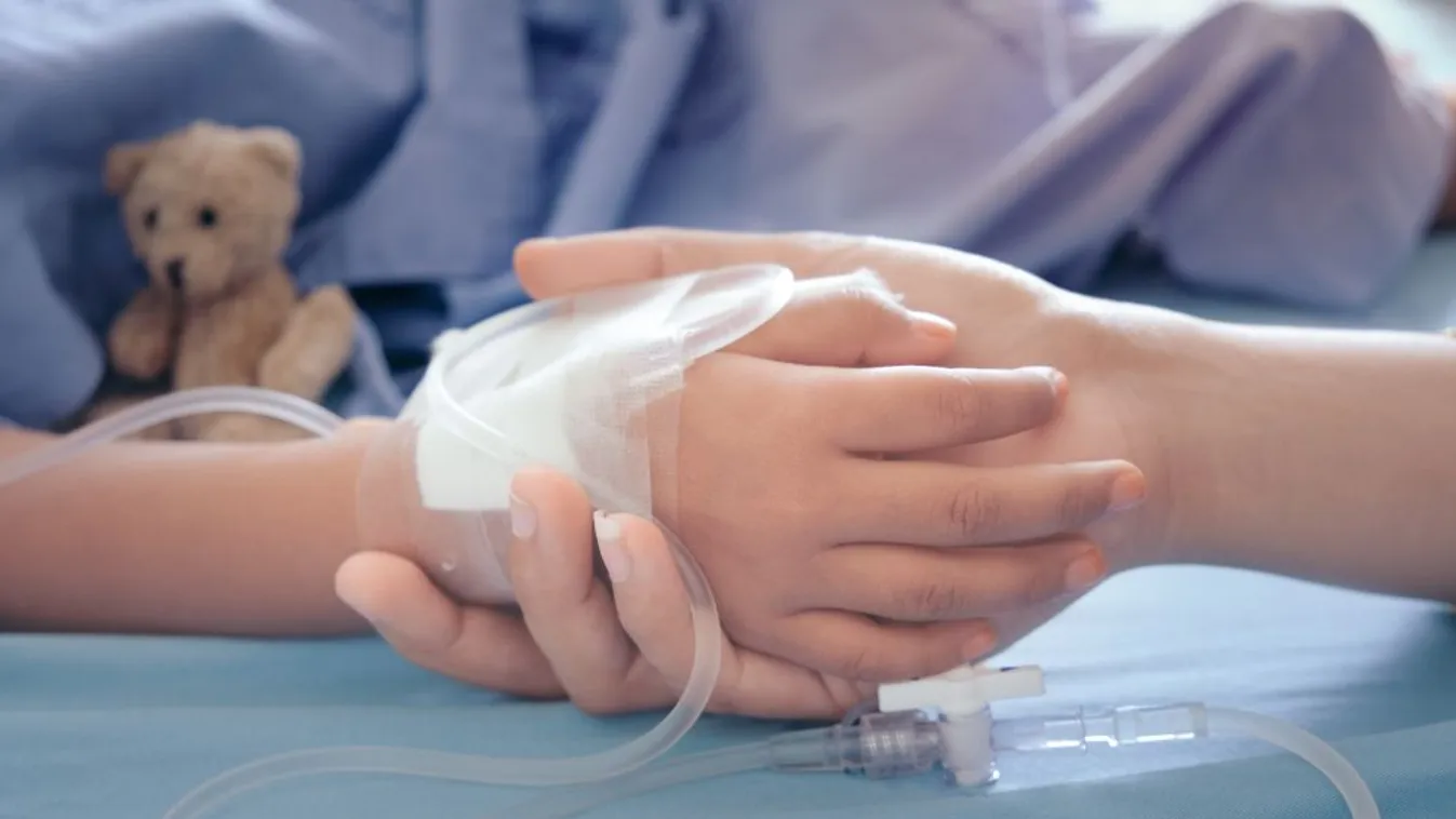 Történelmi pillanatról számolt be Kásler Miklós