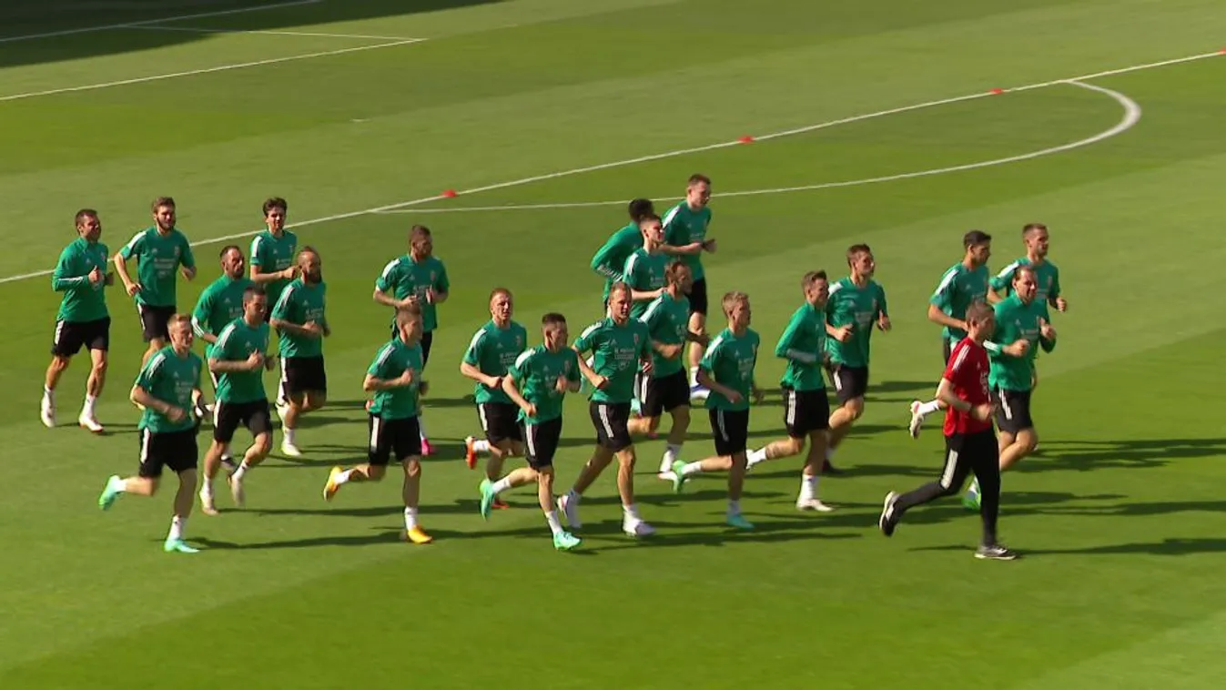 Így jellemezte a mostani magyar labdarúgó-válogatottat Nikolics Nemanja