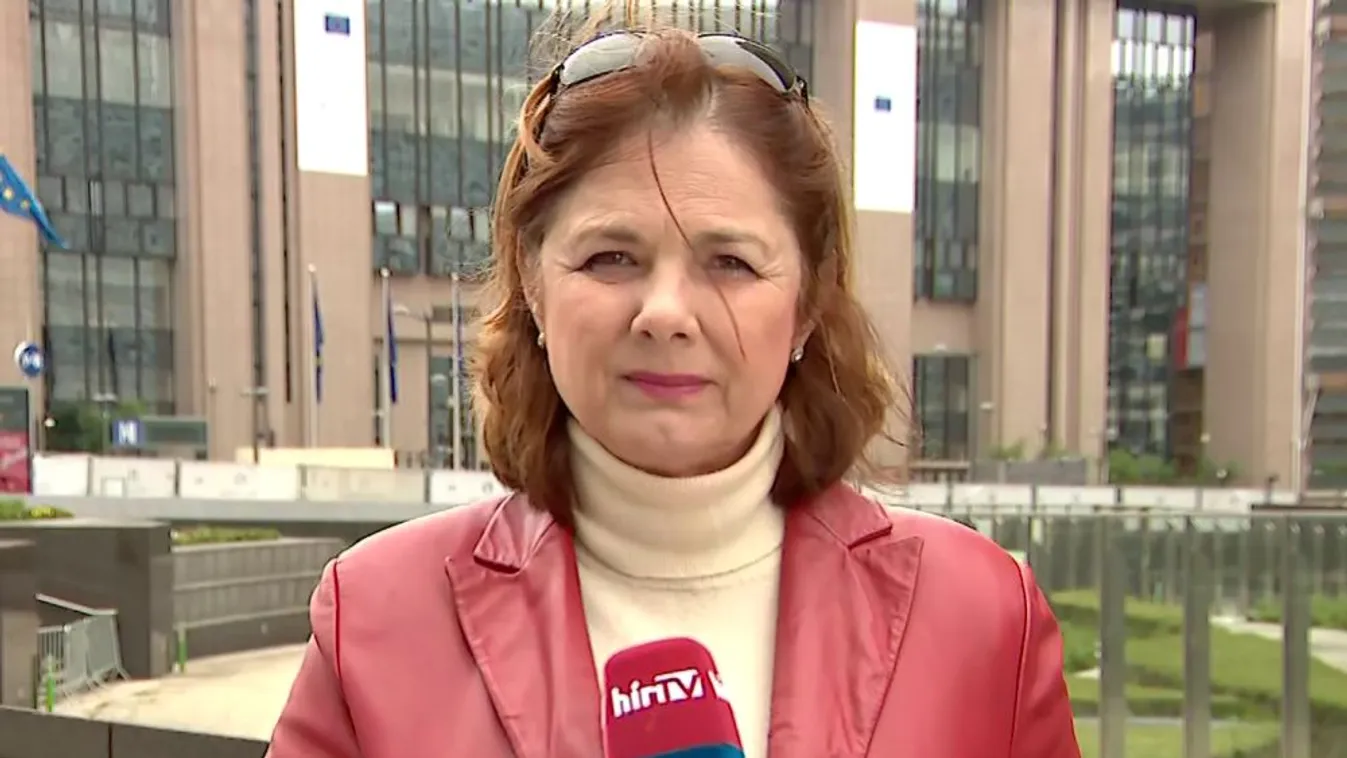 A holland kormányfő megint durva hangnemben támadta Orbán Viktort