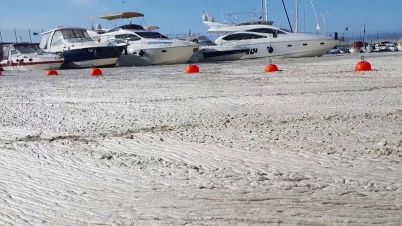 Megoldást keres Törökország a tengereit ellepő nyálka ellen