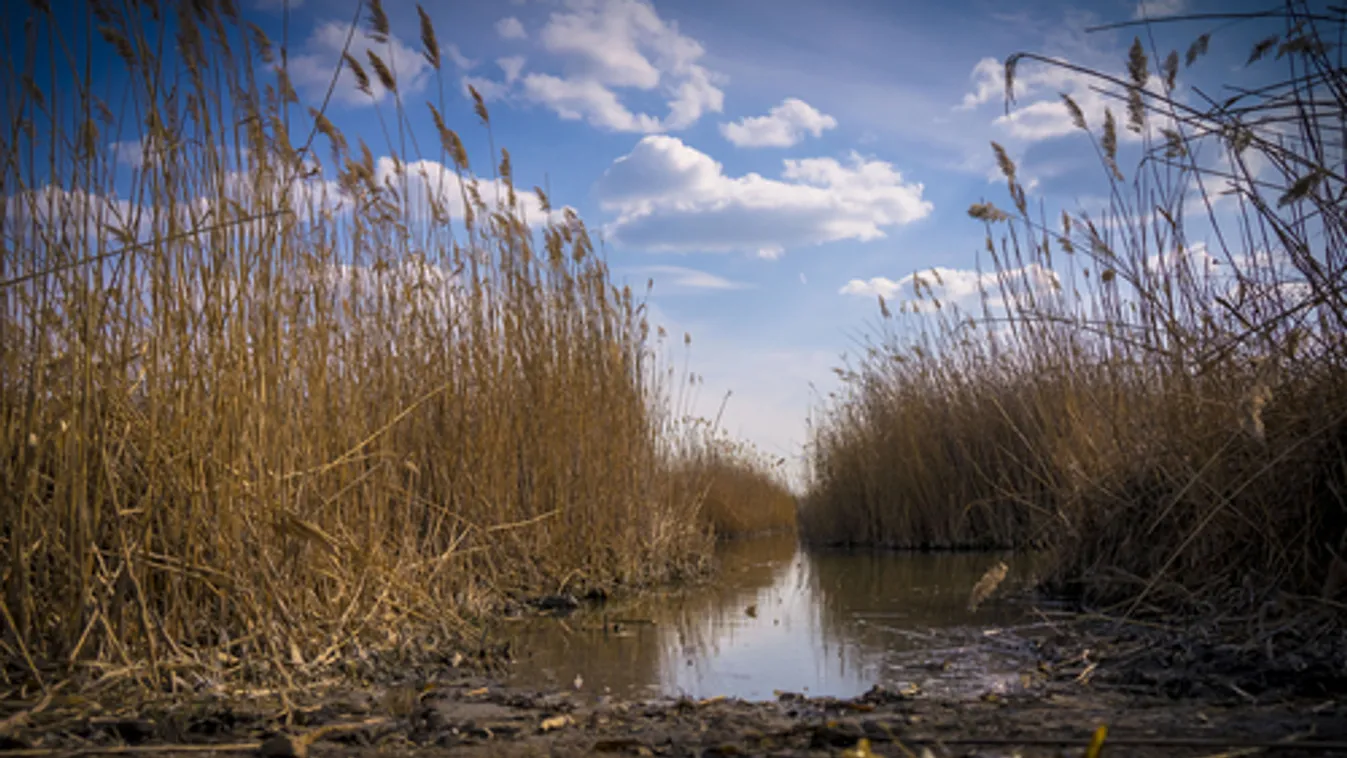 Újranyithat a vízminőség miatt bezárt négy velencei-tavi strand