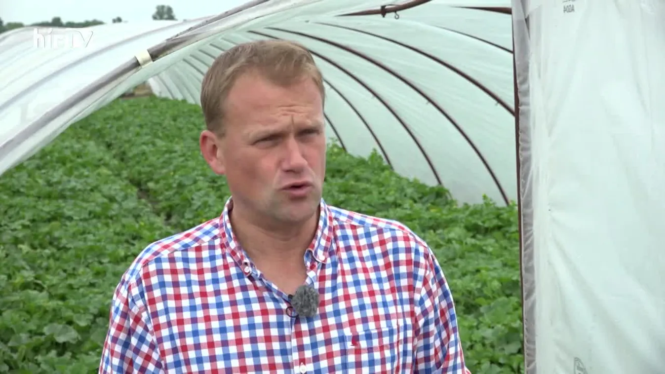 Soroló (2021-07-24)