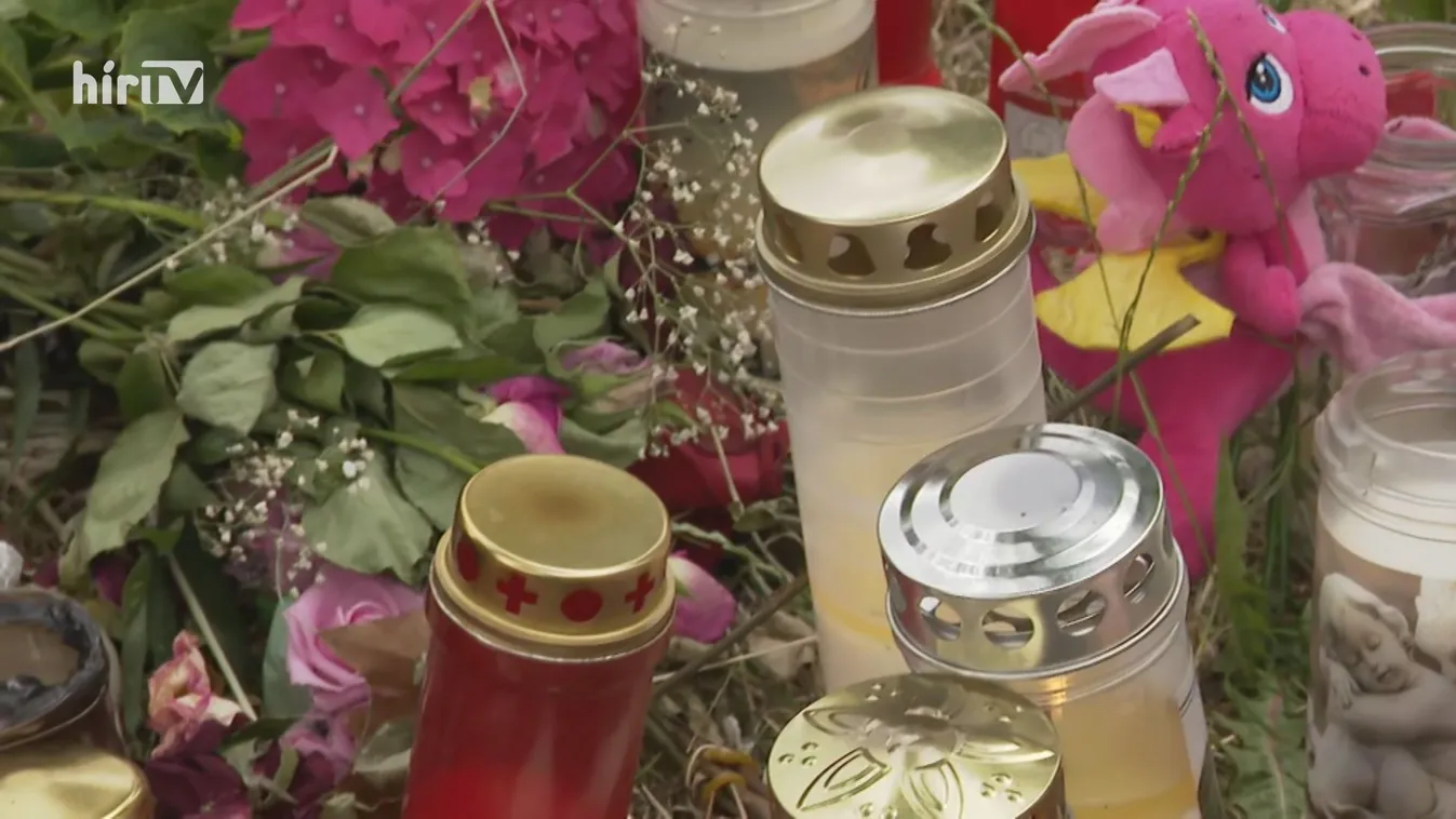 Lesújtotta az osztrákokat a gyilkosság híre, a kormányfő szerint veszélyes a migráció