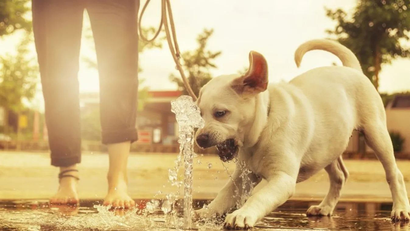 Így alakul időjárásunk a következő napokban