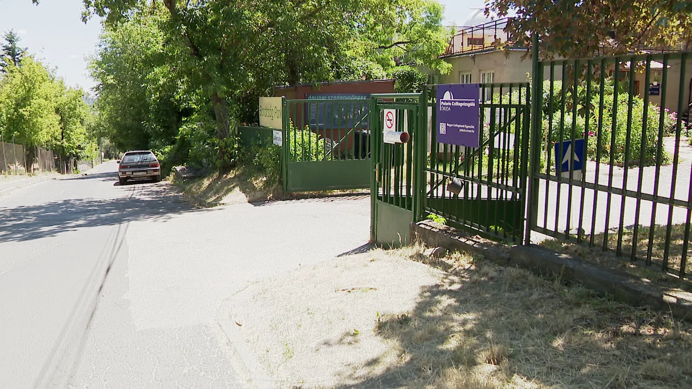 Hőségben játszanak a gyerekek a napközis táborban