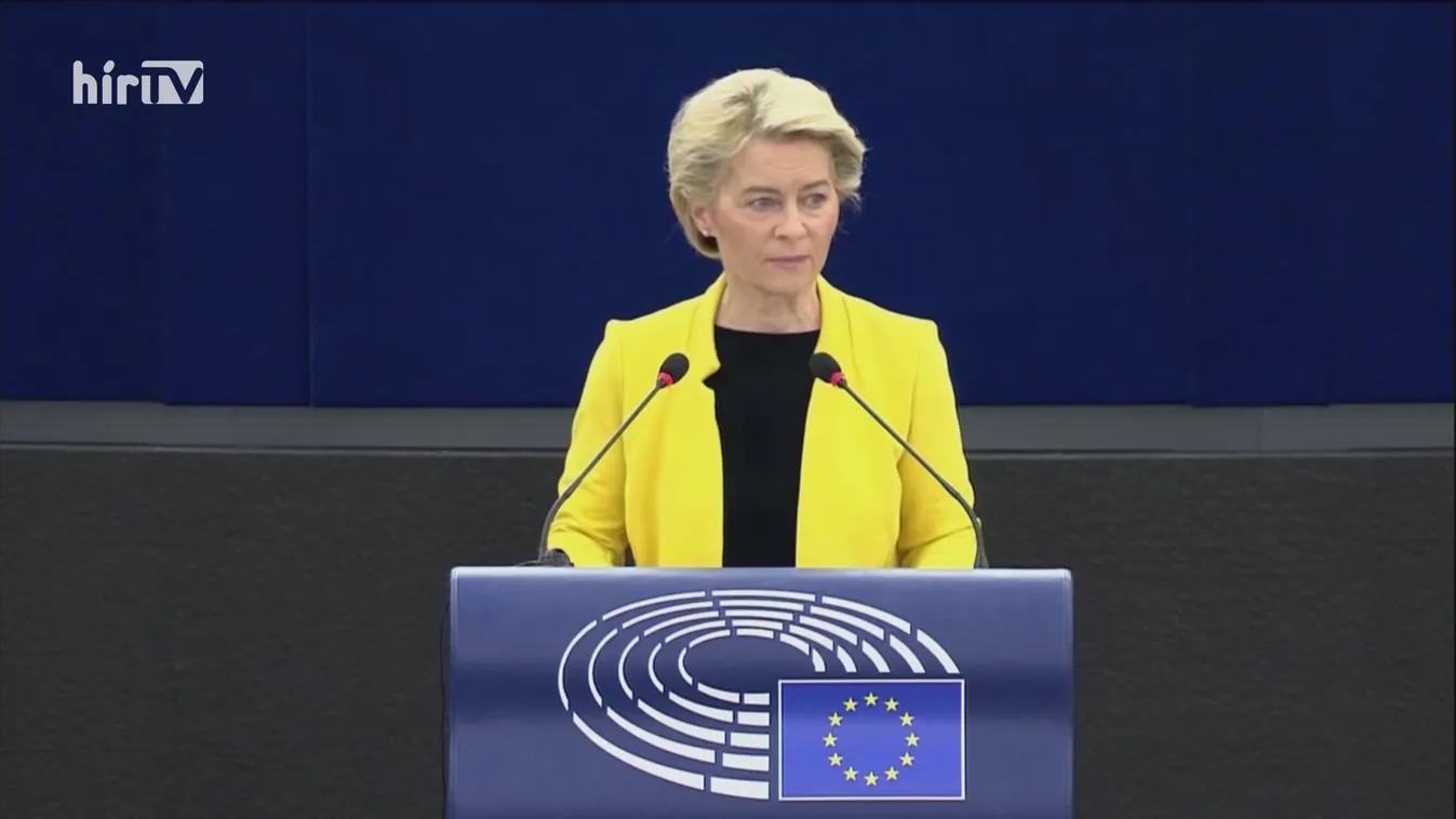 A magyar gyermekvédelmi törvényről vitáztak Strasbourgban