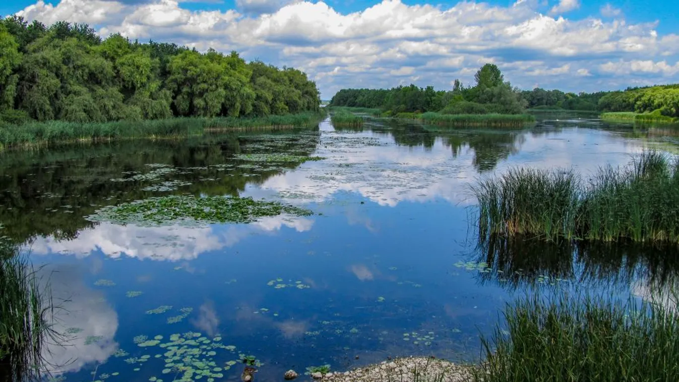 Építőtáborozók rendezik a Kis-Balaton környezetét