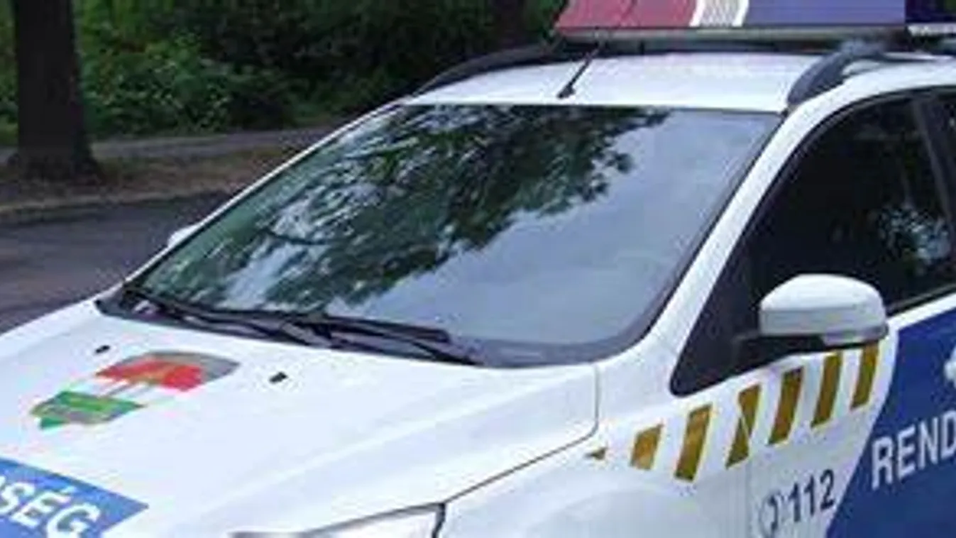 Magyar Nemzet: A magyar rendőrök 21. századi színvonalú kényszerítő eszközöket használhatnak