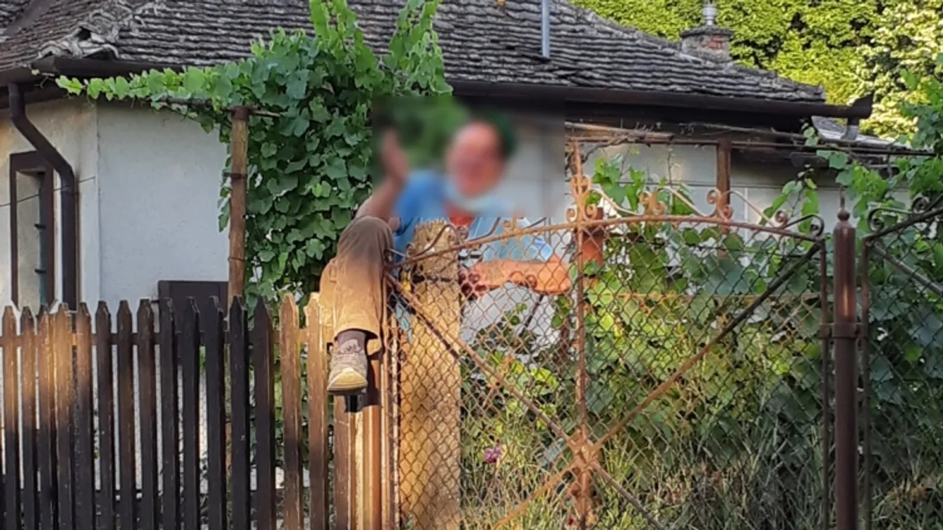 Hagymát akart lopni, de fennakadt a kerítésen – fotóval