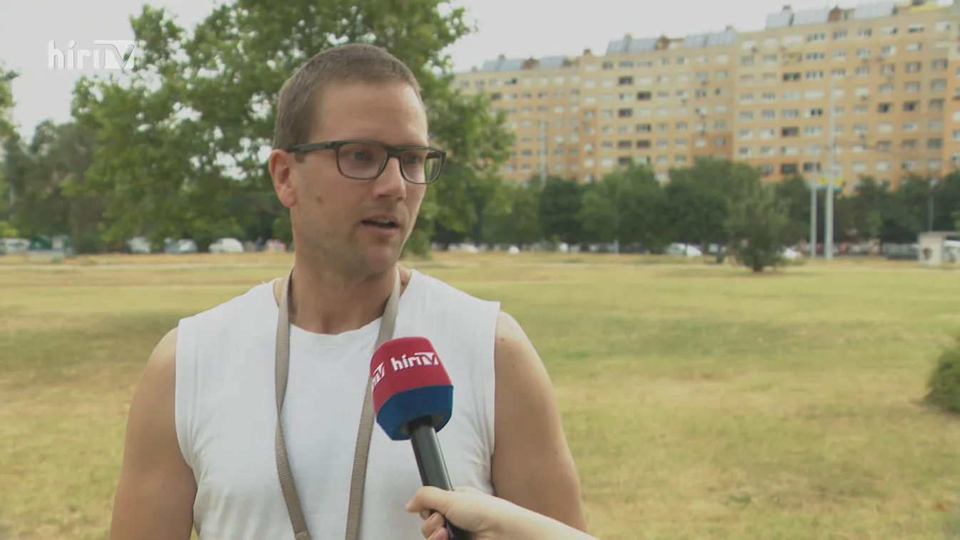 A táblák eltűntek, a gaz maradt az óbudai méhlegelőn