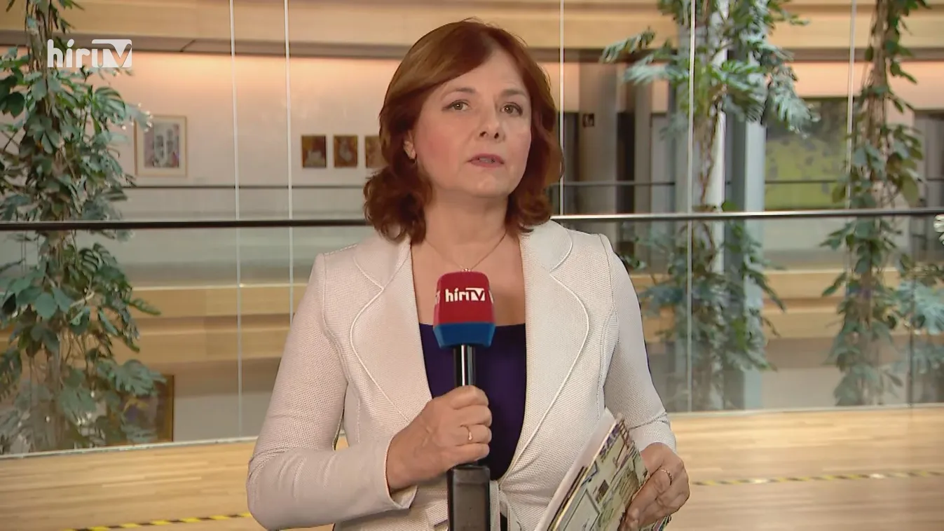 Ma szavaz a gyermekvédelmi törvényről az Európai Parlament