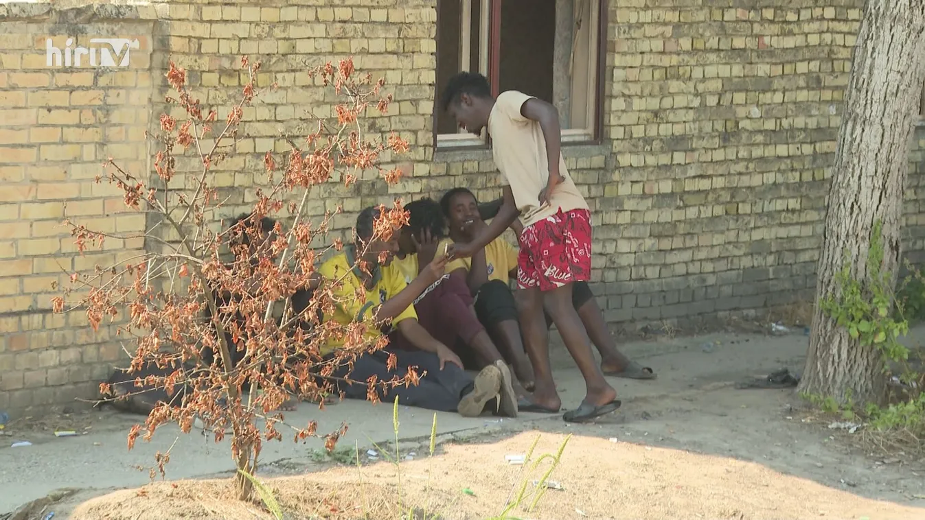 Egyre több a migráns a szerb határ menti településeken