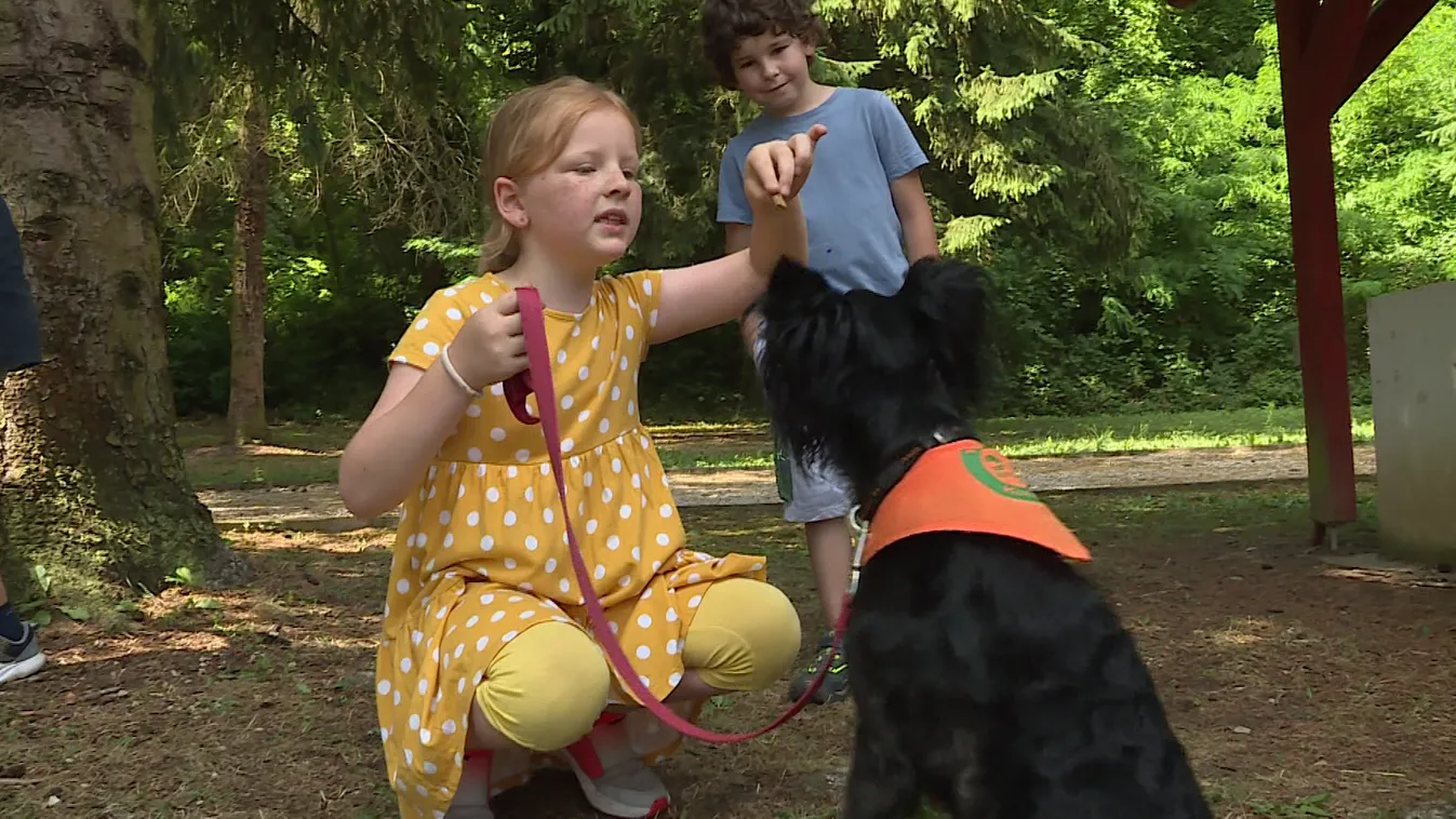 Terápiás ebekkel táboroznak a gyerekek