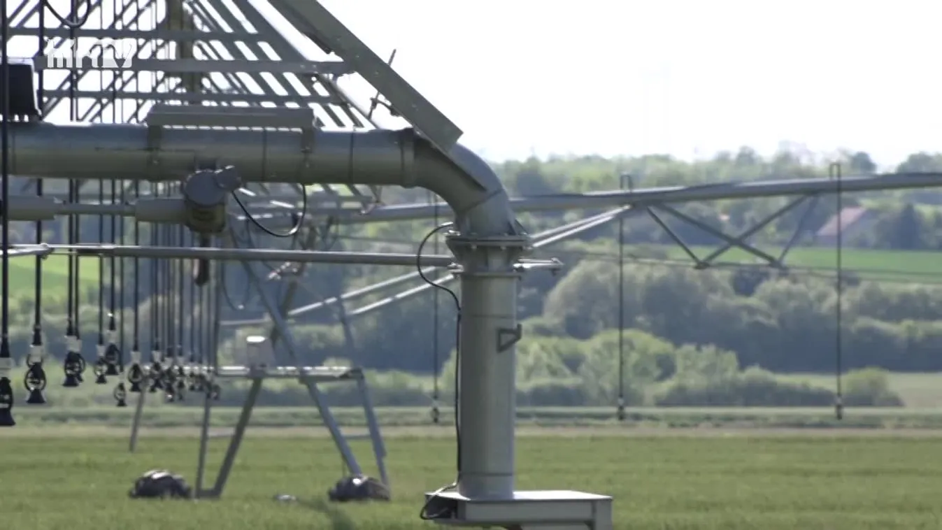 Soroló (2021-07-03)