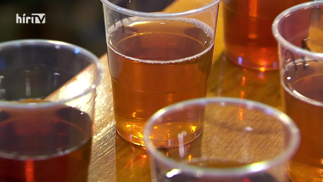 Panaszkönyv (2021-07-10)