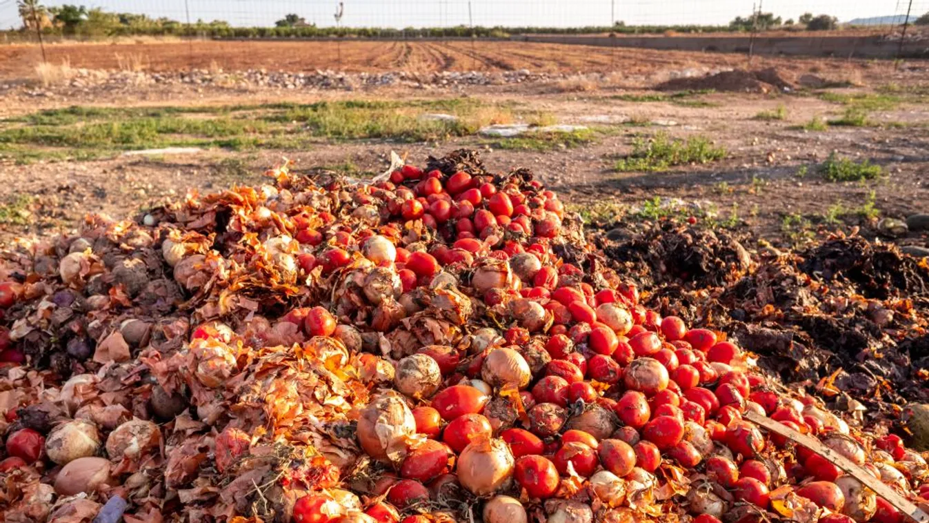 Évente 2,5 milliárd tonna élelmiszer kerül a szemétbe