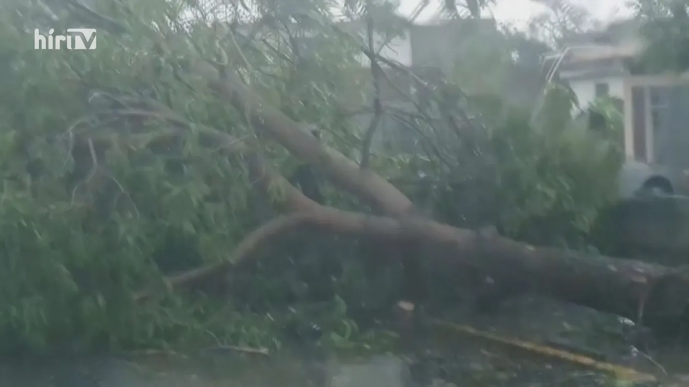 Erdőtűz és hurrikán Észak-Amerikában