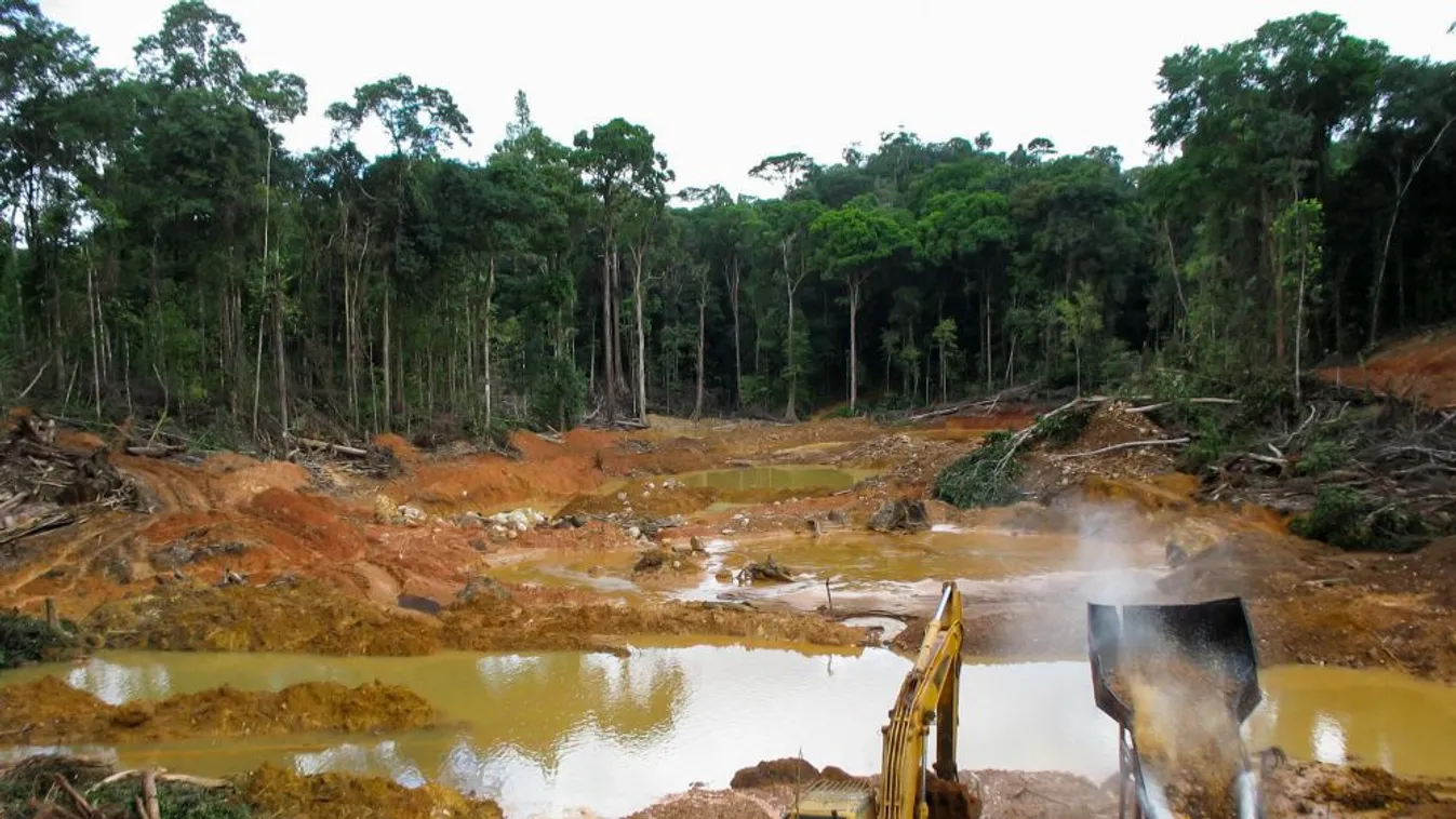 Rekordnagyságú erdőpusztítás Amazóniában