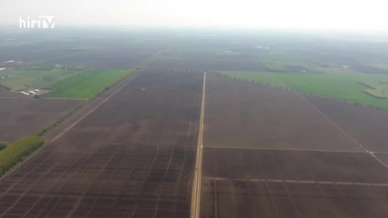 Soroló (2021-08-07)