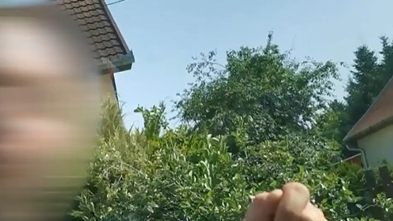 Magából kivetkőzve támadt az asszonyra, mert azt hitte,  hogy büntetőfékezett előtte - Videóval